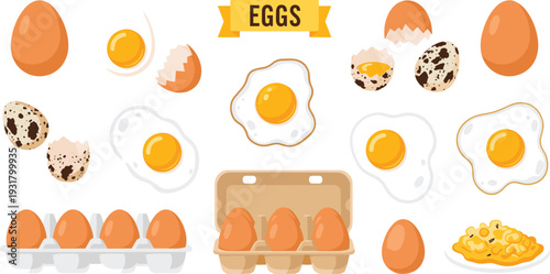 Comprehensive Egg and Poultry Product Illustration Set Featuring Fried Scrambled Whole and Quail Eggs with Cartons for Breakfast and Grocery Design