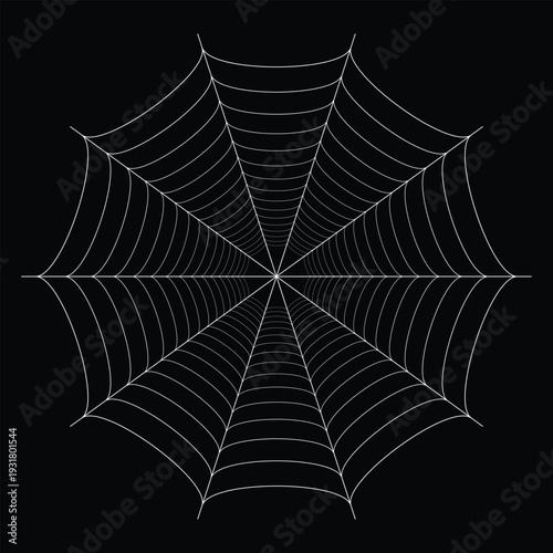 A macro illustration of a wet spider web shows a nature pattern of morning dew drops on a silk net trap