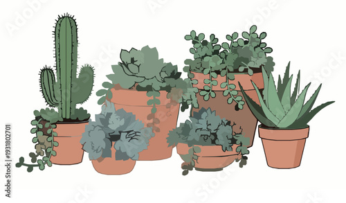 Modern Indoor Succulent Garden Vector Set in Terracotta Pots