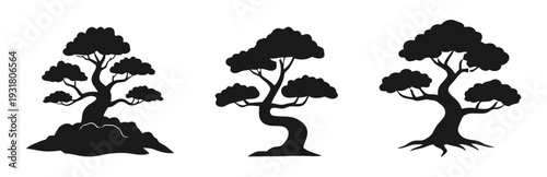 Black Silhouette of Three Trees.