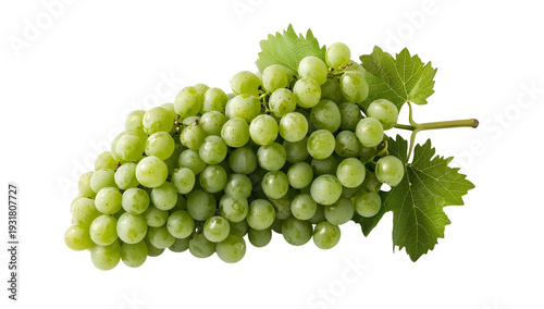 A bunch of green grapes isolated on a white background in a PNG file with a transparent background for posteffects