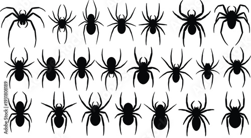 Black spider silhouettes set isolated on white background, creepy arachnid collection vector illustration for Halloween and horror design