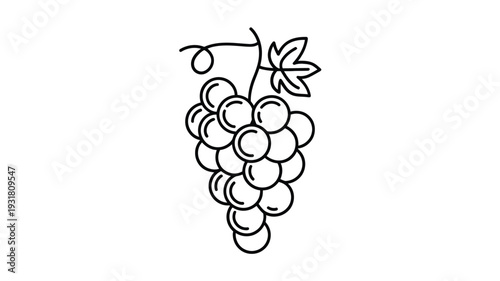A simple line drawing depicts a bunch of grapes with a single leaf
