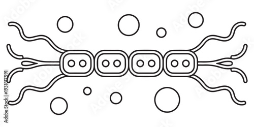Microscopic Bacterium Cell Line Art Illustration