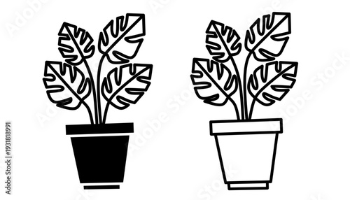 Monstera deliciosa houseplant in pot silhouette and line art set.