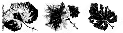 Verdant Oasis: A Botanical Marvel of Nature's Artistry