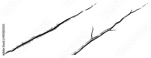 Minimalist ink sketch of dry tree branches and twigs in hand drawn artistic vector style