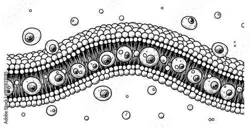Abstract biological cell membrane structure with surreal eyeball elements in an organic hand drawn engraving style