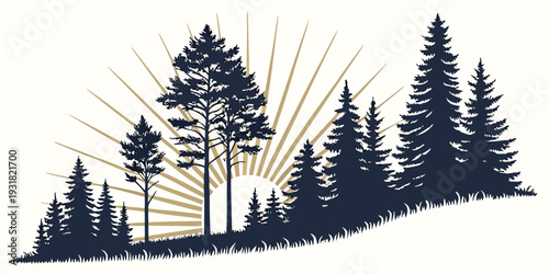 Silhouette of tall pine trees on a hillside at sunset with light rays shining through