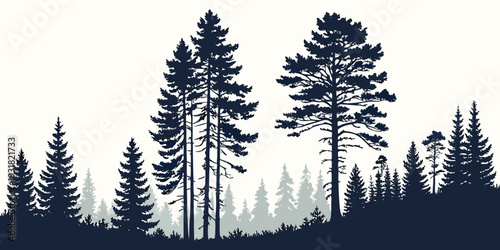 Silhouette of tall pine trees against a dark sky in a forest landscape