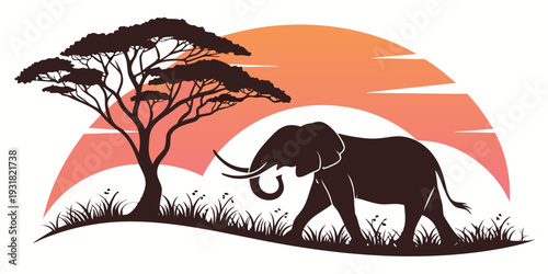 Majestic elephant roaming under the shade of an acacia tree during sunset