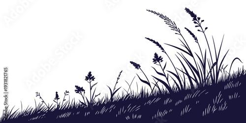 Silhouette of tall grasses and butterflies against a white background