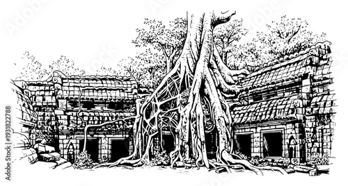 Vintage woodcut engraving of ancient stone temple ruins overgrown with massive banyan tree roots