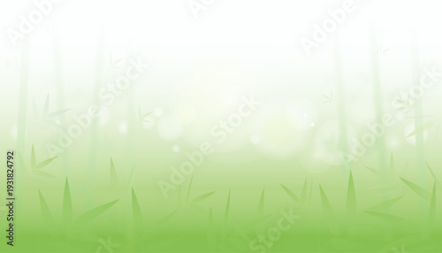 Green bamboo forest background. The natural backgrounds