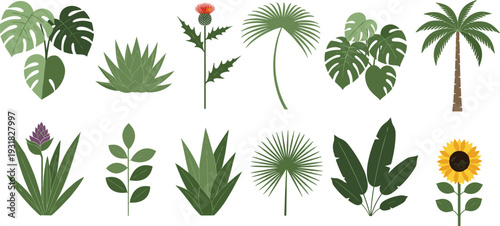 Vector collection of tropical plant and flower illustrations featuring monstera leaves palm trees sunflower thistle and exotic foliage for nature branding and botanical design.