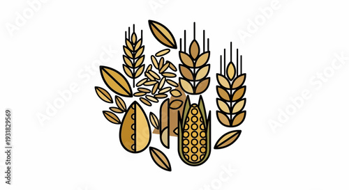 Cereal Grains Illustration Set.