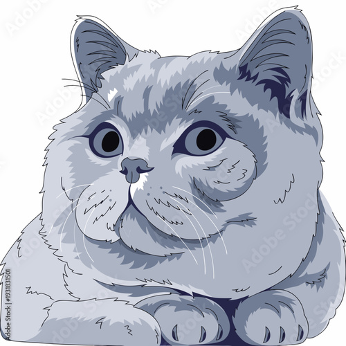 cute british shorthair blue cat icon with round face plush fur isolated on white background