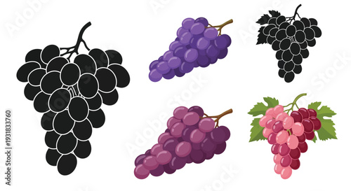 Colorful illustration of grape bunches in various shades and styles