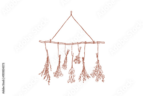 Dried herbs hanging on a wooden stick, rustic home decor, natural botanical arrangement