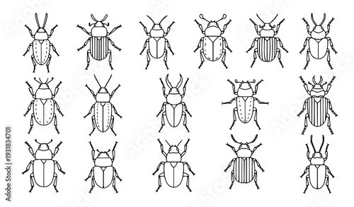 Simple beetles vector coloring pack for kids and educational books