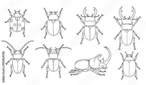Beetle line art coloring set – vector illustrations for insect books