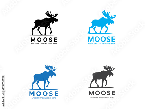 Four variations of a moose logo design featuring different color schemes and placements
