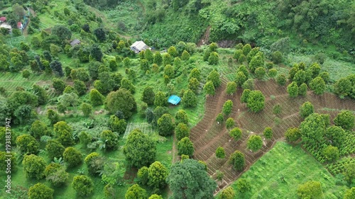 Aerial Drone Video Footage of Agricultural Orbit