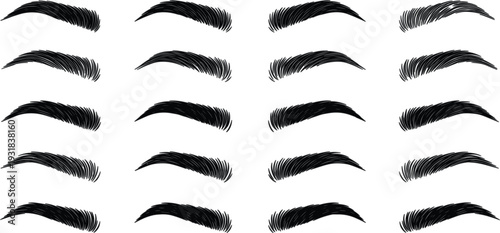 Hand Drawn Eyebrow Shapes Set Black Brush Stroke Brow Collection Isolated on White Background Vector Illustration