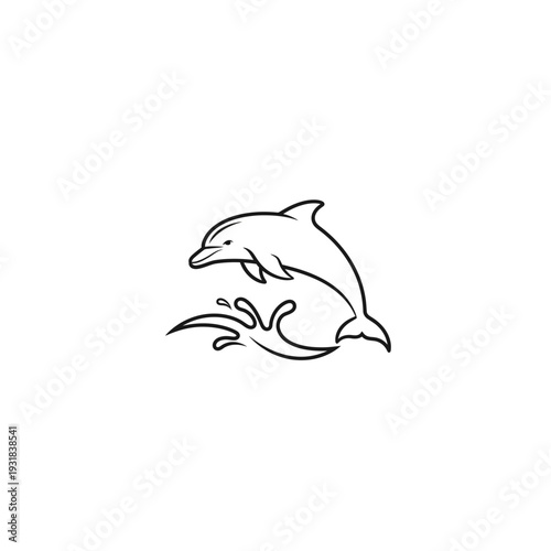 Two dolphins jumping out of the water