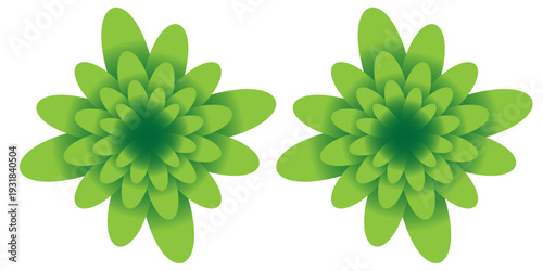 Three green star-flowers, with big middle, on the white and yellow background
