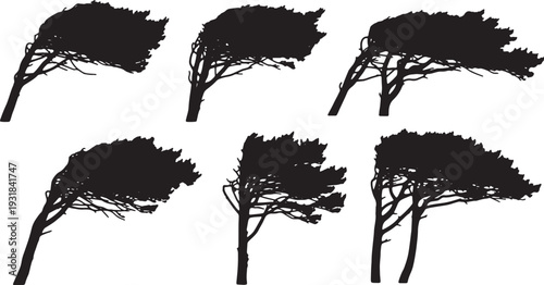 Black Solid Windblown Pine Tree Silhouettes Set of Six