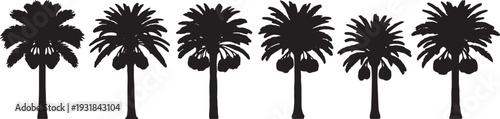 Black Solid Young Pine Sapling Silhouettes Set of Six