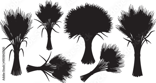 Black Solid Wheat Sheaf Silhouettes Set of Six on White Background