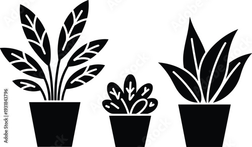 Minimalist plant silhouette illustration, indoor potted plants vector, modern botanical design, black leaf shapes, decorative houseplants graphic art
