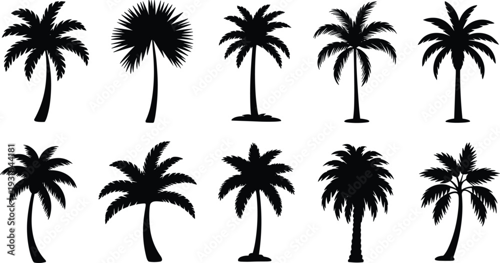 Obraz premium Palm tree silhouettes collection, tropical trees, diverse frond shapes, botanical illustration, landscape design, exotic foliage, beach concept, greenery design, nature elements, plant