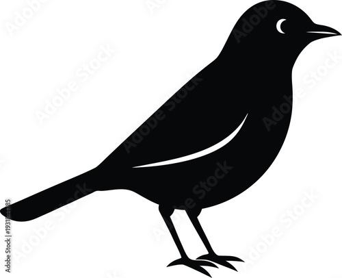 Blackbird Silhouette Vector Art Illustration