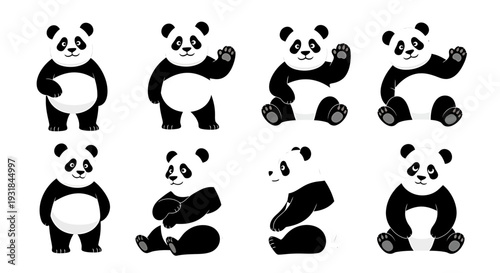 Black and White Panda Bear Poses. Vector Illustrations. EPS Editable