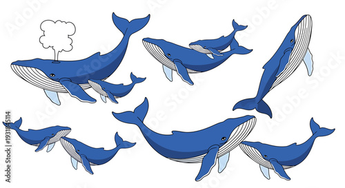 Blue Whales Swimming in Various Directions. Vector Illustrations. EPS Editable