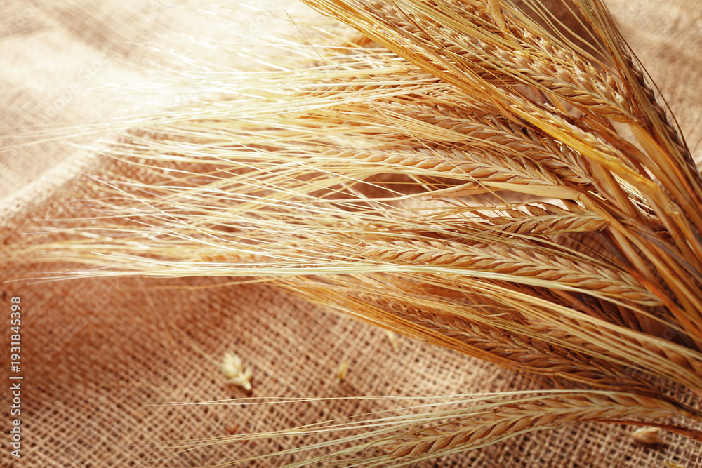 Naklejka premium Wheat stalks placed on burlap fabric during the harvest season in a rural setting