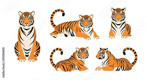 Collection of Six Adorable Tiger Poses in Various Realistic Styles. Vector Illustrations. EPS Editable