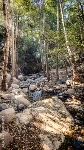 View of the Arroyo Seco, a seasonal river on the Gabrielino Trail leading to the Switzer Falls in the Los Angeles County