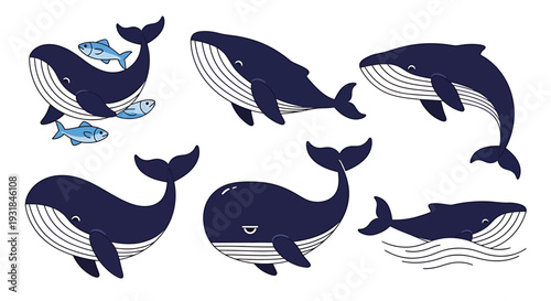 Collection of Whales and Fish Illustrations in Various Poses. Vector Illustrations. EPS Editable