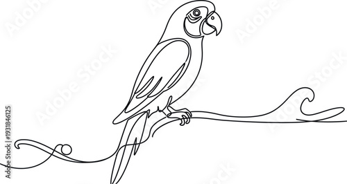 Elegant continuous line art drawing of a tropical parrot perched upon a stylized branch