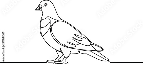 Minimalist single line drawing depicts a simple pigeon standing on a horizontal surface