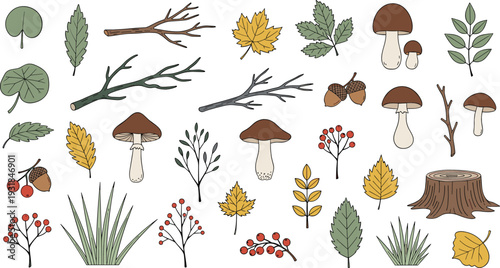 Autumn Forest Elements Set with Leaves Mushrooms Branches Acorns and Tree Stump Vector Illustration Collection