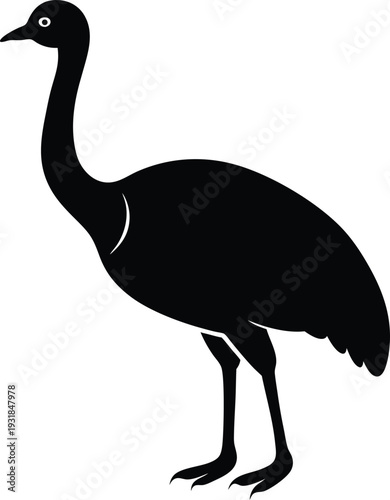 Cassowary Silhouette Vector Art Illustration