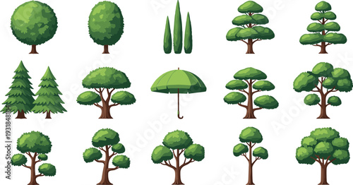 Cartoon Green Trees Collection with Pine Oak Cypress and Decorative Garden Plants Nature Vector Illustration Set