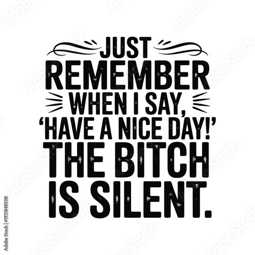 Funny sassy saying just remember when i say have a nice day the bitch is silent text art