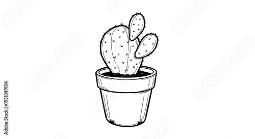 Hand drawn outline of a potted cactus plant with round segments, isolated white background.