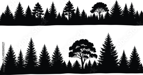Black silhouette of pine trees and deciduous tree on white background